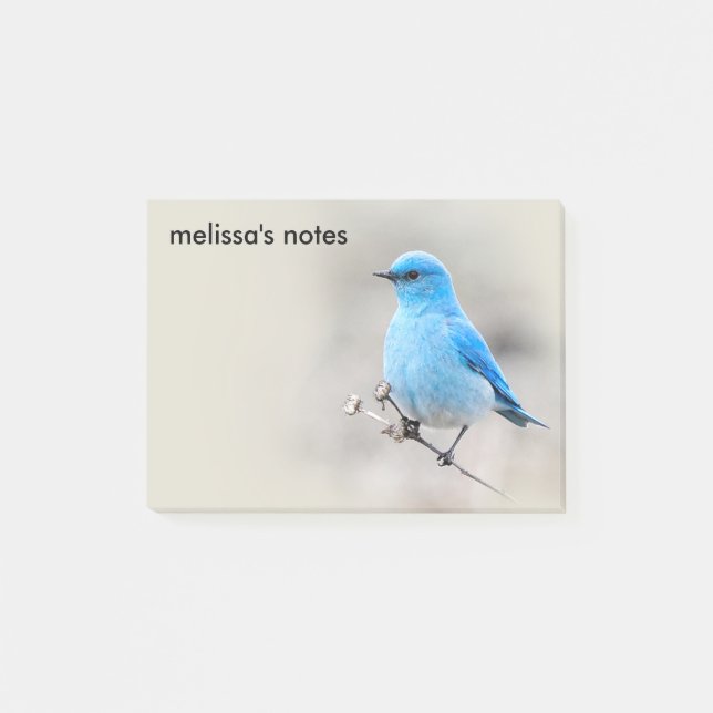 Notas Post-it® Hermoso Bluebird (Anverso)