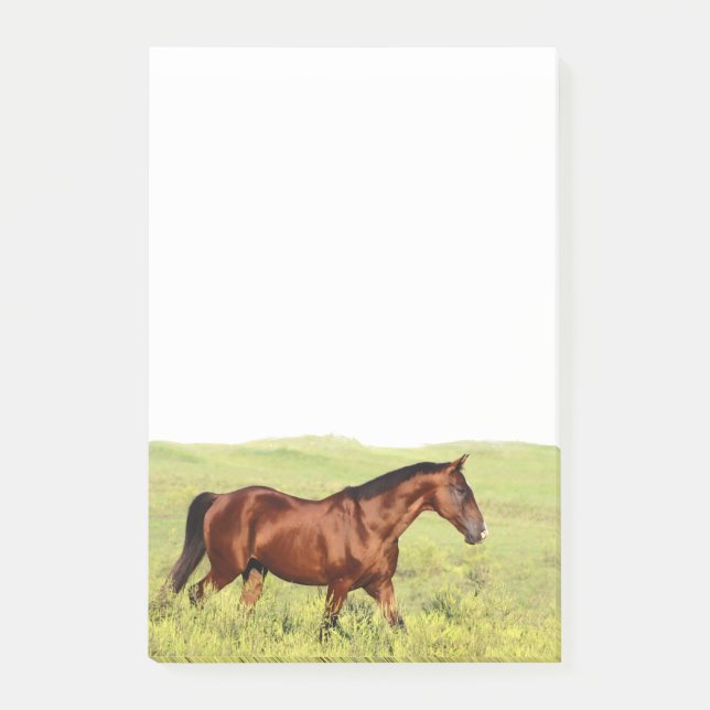 Notas Post-it® Hermoso caballo de bahía (Anverso)