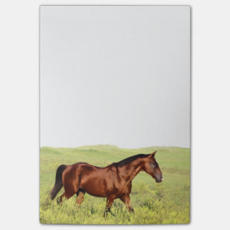 Notas Post-it® Hermoso caballo de bahía