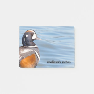 Notas Post-it® Hermoso pato Harlequin en la roca