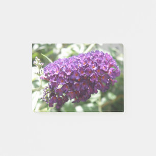 Notas Post-it® Hermoso Purple Buddleia Flowers Post anota