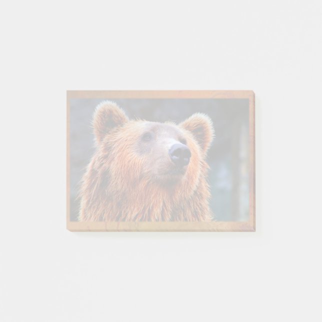 Notas Post-it® Hermoso retrato de oso marrón de vida salvaje foto (Anverso)