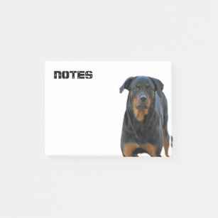 Notas Post-it® Hermoso Rottweiler
