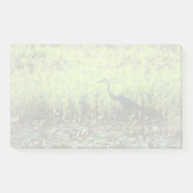 Notas Post-it® Heron 6449 (Anverso)