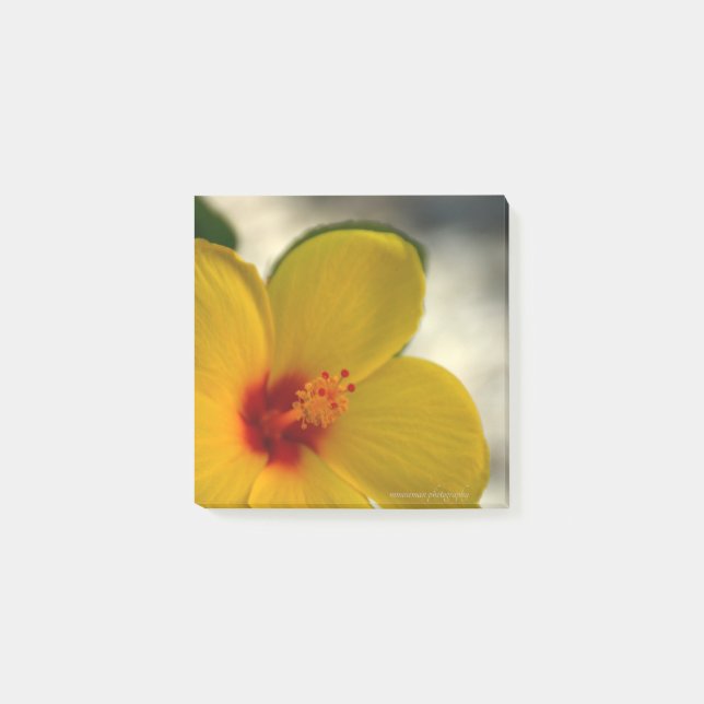 Notas Post-it® Hibiscus amarillo (Anverso)