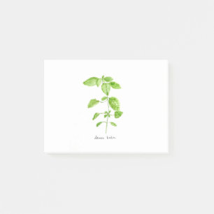 Notas Post-it® Hierba de bálsamo limón acuarela jardín verde