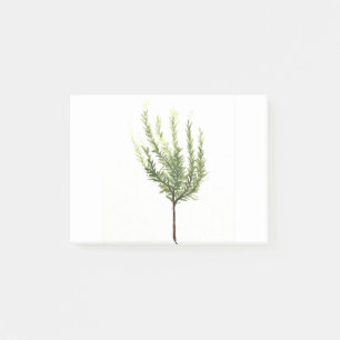 Notas Post-it® Hierba de Rosemary vintage plantas jardineras acua