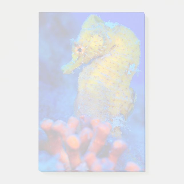 Notas Post-it® Hipocampo brillante del Seahorse el | (Anverso)