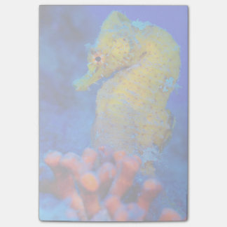 Notas Post-it® Hipocampo brillante del Seahorse el |