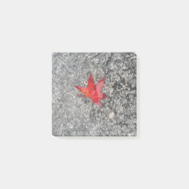 Notas Post-it® Hoja roja de otoño en lluvia en camino gris textur