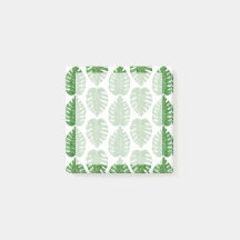 Hojas de Monstera de la acuarela