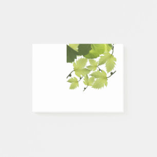 Notas Post-it® Hojas de vid de uva verde