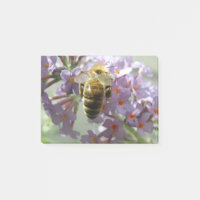 Honeybee and Buddleia Flowers Post señala