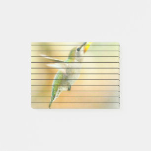 Notas Post-it® Hummingbird en la luz de la madrugada