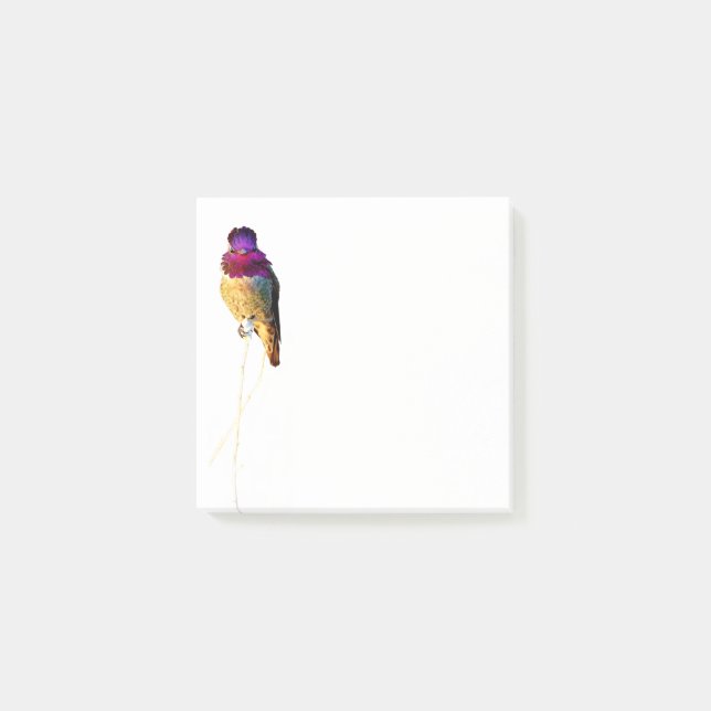 Notas Post-it® Hummingbird Photo 3x3 Notepad (Anverso)