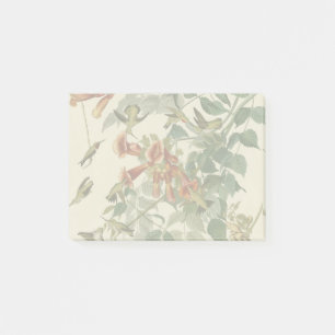 Notas Post-it® Hummingbird Ruby Throated Audubon