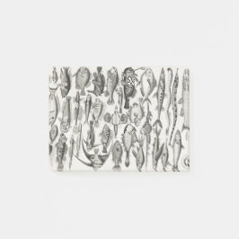 Notas Post-it® Ichtiología, ictiología, pescado, océano, ictiólog
