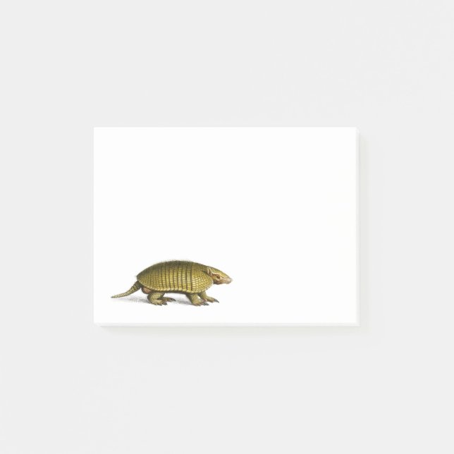 Notas Post-it® Ilustracion de armadillo amarillo vintage (Anverso)
