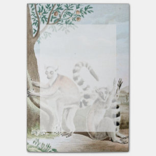 Notas Post-it® Ilustracion de los Lemurs con cola de anillo