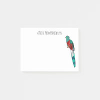 Ilustracion de personalizado de aves quetzales res