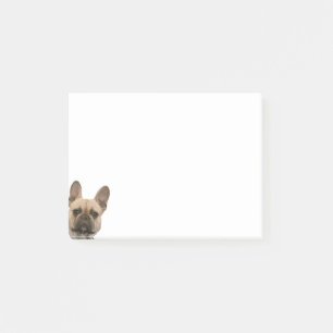 Notas Post-it® Imagen linda de la cara de la foto del bulldog