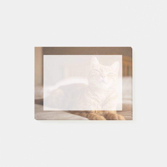 Notas Post-it® Imágenes de Getty| Gato espantoso (Anverso)