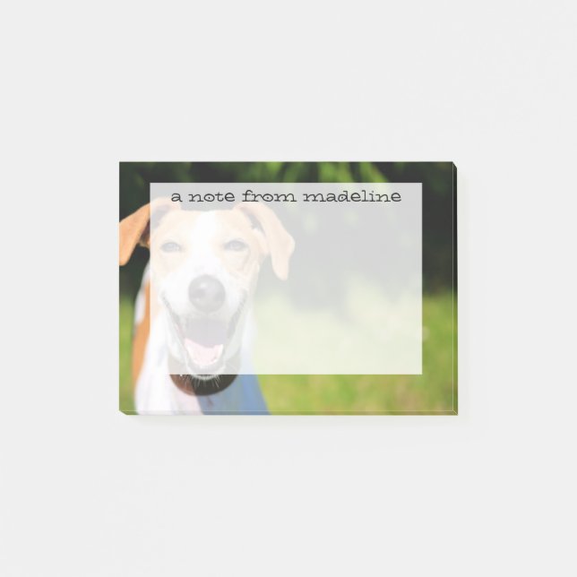 Notas Post-it® Imágenes de Getty| Perro riéndose (Anverso)