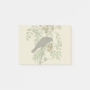 Notas Post-it® Impresión de pájaro Grackle púrpura de Audubon Vin