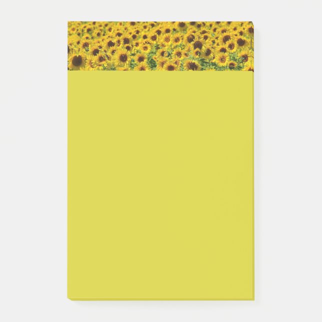 Notas Post-it® Impresión floral botánica de girasoles amarillos (Anverso)