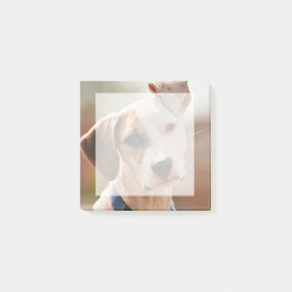 Notas Post-it® Inserte su propio cuadro fotográfico mascota