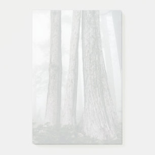 Notas Post-it® Invocar el bosque