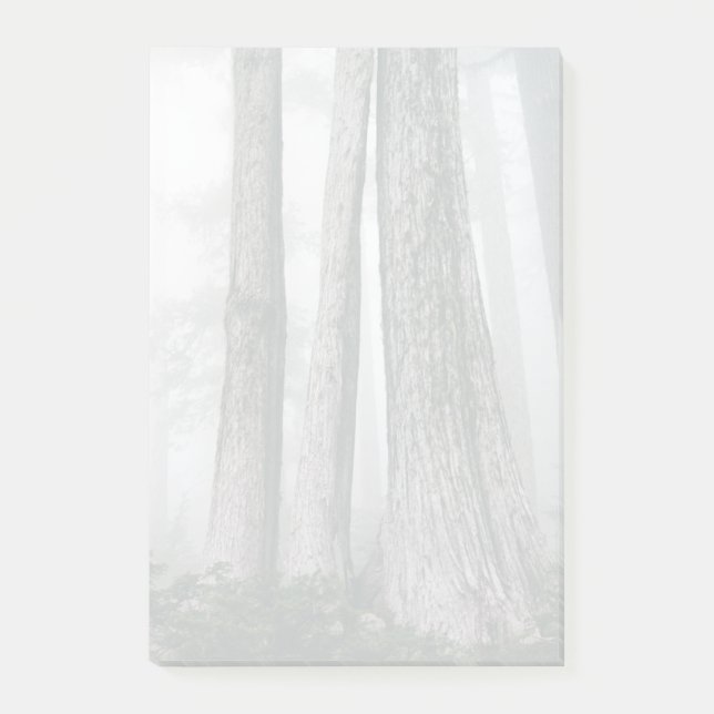 Notas Post-it® Invocar el bosque (Anverso)