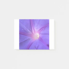 Notas Post-it® ipomée