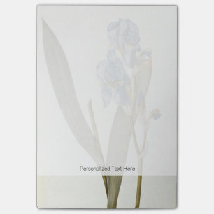 Notas Post-it® Iris Pallida, de "Les Liliacees", 1812