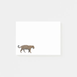 Notas Post-it® Jaguar