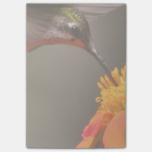 Notas Post-it® Jardín floral de flores de girasol de ave húmeda