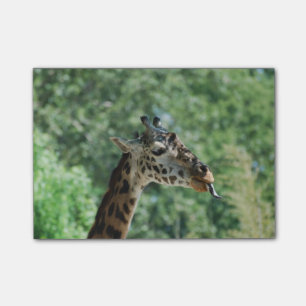 Notas Post-it® Jirafa con una lengua larga