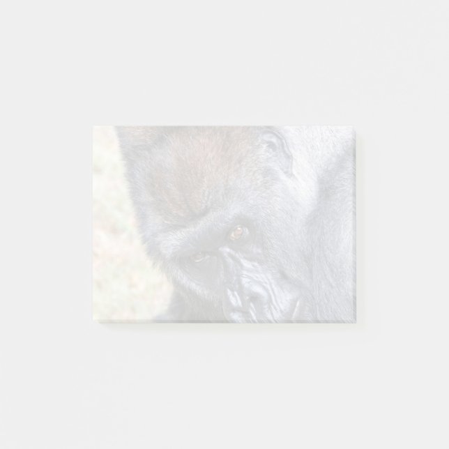 Notas Post-it® Kidogo (Willie B Jr) en el zoológico de Atlanta (Anverso)