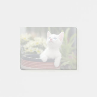 Notas Post-it® Kitten blanco turco