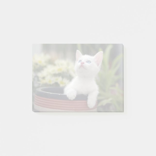 Notas Post-it® Kitten blanco turco (Anverso)