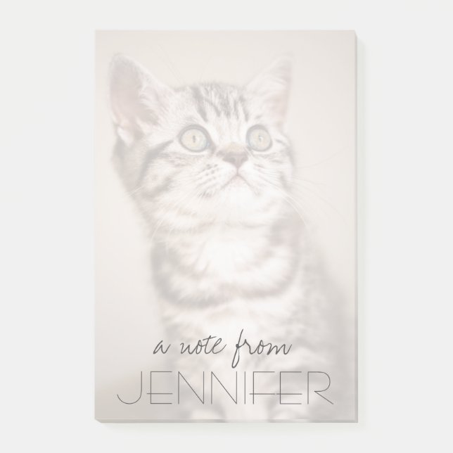 Notas Post-it® Kitten de pelo corto británico gris (Blue Tabby) (Anverso)