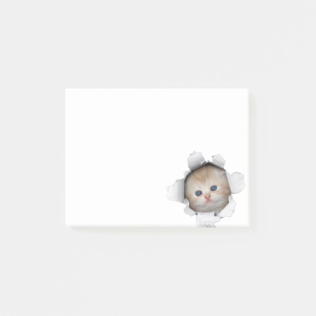 Notas Post-it® Kitty (Anverso)