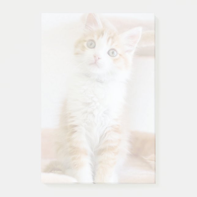 Notas Post-it® Kitty dulce Blue Eyed (Anverso)