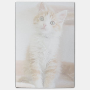 Notas Post-it® Kitty dulce Blue Eyed
