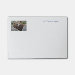 Notas Post-it® Kodiak Bear