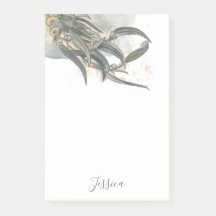 La acuarela Eucalyptus deja la vegetación