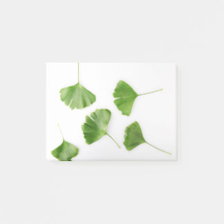 Notas Post-it® La hoja de Ginkgo Biloba con fondo blanco