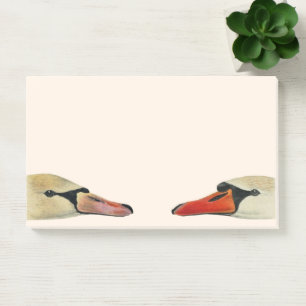 Notas Post-it® La naturaleza de los muchos rostros de un cisne