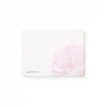 La opinión rosada del peony se descolora