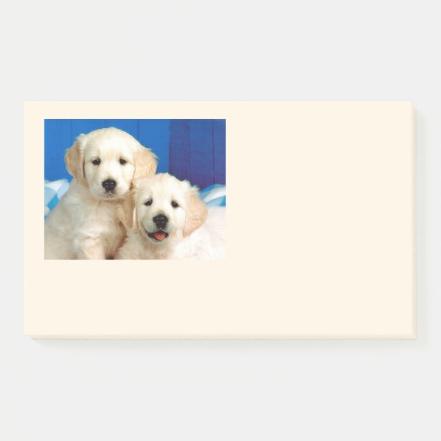 Notas Post-it® Labrador (Anverso)